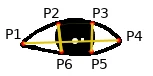 Eye landmarks distances