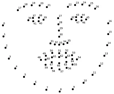 Facial Landmarks