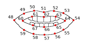 Lips landmarks
